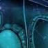 20Hz Frequency For Prostate Pure Isochronic Binaural Beats Sound Healing Rife Treatment