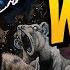 Moonrats The Untold Story Of The Sewers
