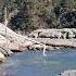 Beautiful Beautiful Ganga Bhagirathi Kali Sharda Bharatdarshanwithom Uttarakhand Pahad