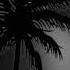 Various Miami Bass Tracks Vol 6 2020