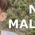 Ariana Grande Nasty Male Cover With Whistle Tones