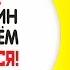 Сдай вождение Вика Шуточная песня переделка попурри от ZOOBE Зайки Natali