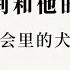 专栏 徐贲 毕福剑和他的玩笑 假面社会里的犬儒主义