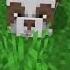 MINECRAFT EPIC MOMENT MOST REREAST MOB IT S BABY BROWN PANDA