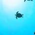 Studio Ghibli Relaxing Piano Music Relax Study Sleep