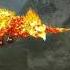 Phoenix Simulator By Turbo Rocket Games Menu Soundtrack Extended