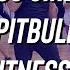 Go Girl Pitbull Ft Trina Young Boss Dance Fitness Zumba Easy TikTok FitDance