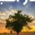 اذكار الصباح