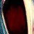 Pink Floyd Young Lust