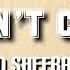 Ed Sheeran I Don T Care Lyrics Video Acoustic