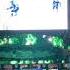 Dallas Stars Goal Horn Game 1 Of 2020 Stanley Cup Final