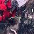 Nightcore Secret Lyrics