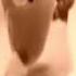 Gummy Bear Song English In Brown Flip And Warped