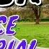 FEVER DUA LIPA ANGELE DANCE TUTORIAL