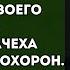 Завещание отца Палитра историй Жизненные истории