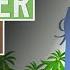 Create Your Own Booster Teas For Vigorous Growth
