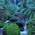 Relaxing Rain Noise Forest Stream Water Sounds For Sleeping