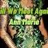 Ann Marie Till We Meet Again Sped Up