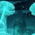 Magic Mushroom Trip Music Powerful Psychedelic Effect Psilocybin Hypnotic Music Black Screen