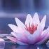 Relaxing Spa Piano Music Peaceful Sounds For Body Soul