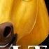 Every Song In The Spirit Movies Spirit Stallion Of The Cimarron Spirit Untamed TUNE Kids