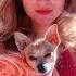 Legally Blonde Watch Me Shine Elle Woods