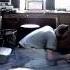 On Planets Jack Conte