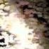 Black Sun Empire Arrakis