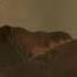 Lord Of The Rings Gollum Falls Into Mount Doom 4K