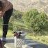 Mountain Of Separation The Story Of Manouchehr And Leila