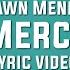 Shawn Mendes Mercy Slowed Down Reverb Lyric Video 8D Songs