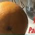 PALEO Sous Vide Instant Pot Orange TEQUILA Easy Grain Free Gluten Free Naturally Flavored Alcohol