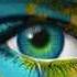 Flo Rida I Cry ORIGINAL Mp3 Audio