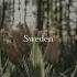 Minecraft Sweden Slowed To Perfection One Hour