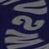 Samsung Logo History In My G Major 119