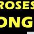 Guns N Roses The Story Behind Absurd Silkworms New 2021 Song