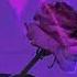 Swanky Tunes Feat Raign Fix Me Slowed Reverb
