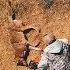 The 10 Commandments Of Predator Trapping The Management Advantage