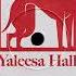 Yaleesa Hall Williams WNK016