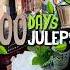 100 Juleps Day 21 Branca Menta