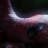 Not 4k Amazing Spiderman Theamazingspiderman Marvel Netflix