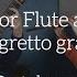 Redbrick Duo Sonatina For Flute And Guitar I Allegretto Grazioso Mario Castelnuovo Tedesco