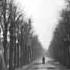 Anton Karas And His Two Rudis The Third Man Theme