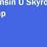 Visconsin U Skyrockets Postage Stomp