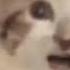 Come Over Here And Kiss Me On My Hot Mouth I M Feelin Romantical 2