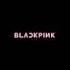 BLACKPINK Forever Young English Cover Lyrics By Shimmeringrain