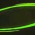 Samsung Logo History In G Major 488