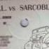 Sarcoblast Wet