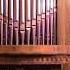 L Cherubini Ave Maria Sings Tatiana Rubinskaya Orgel Anastasiya Sidelnikova