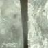 Cutting Age I Ll Be There For You